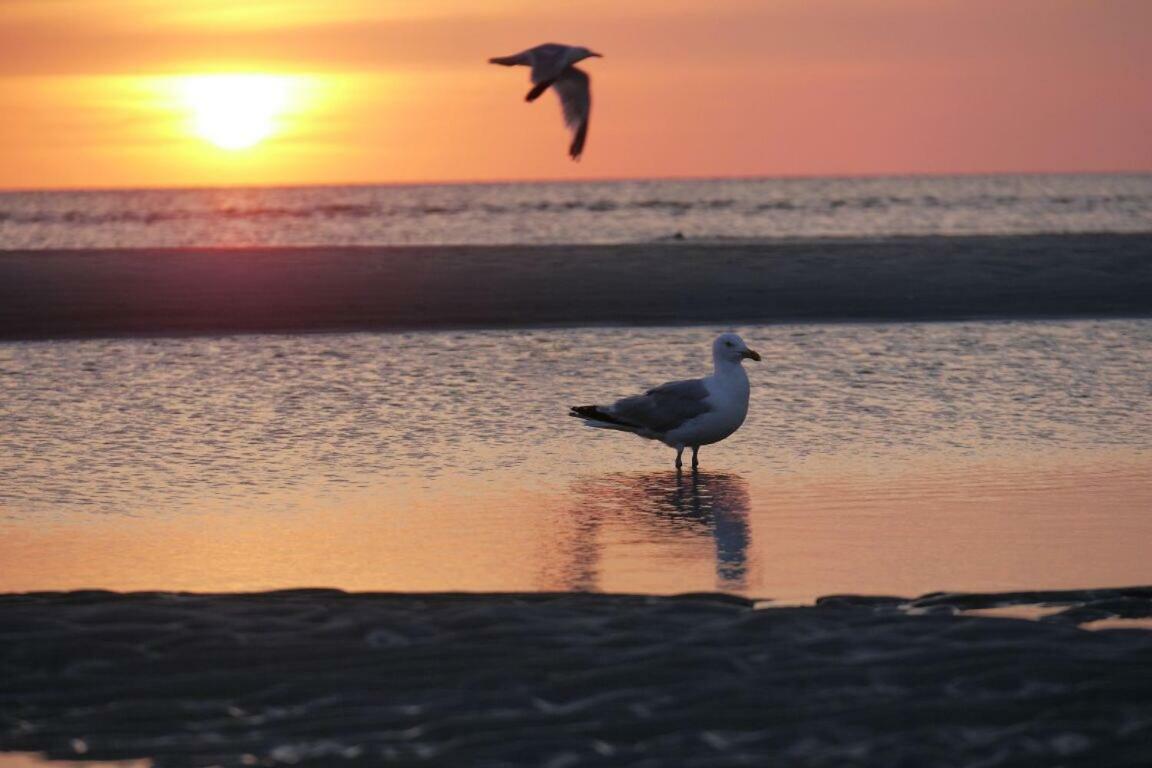 FeWo Büsum - Bella Mare - Nordseestraße 3 Esterno foto